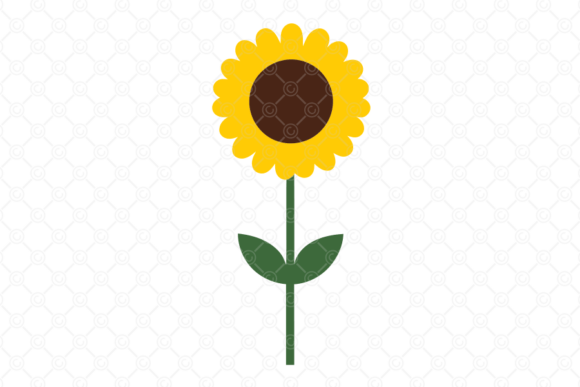 Spring Flower SVG, Floral SVG PNG, 005
